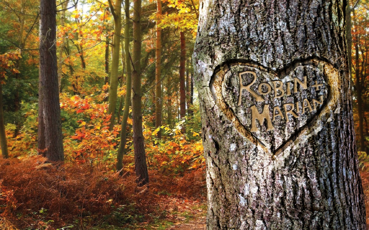 Robin and marian Oak Tree - Visit Nottinghamshire